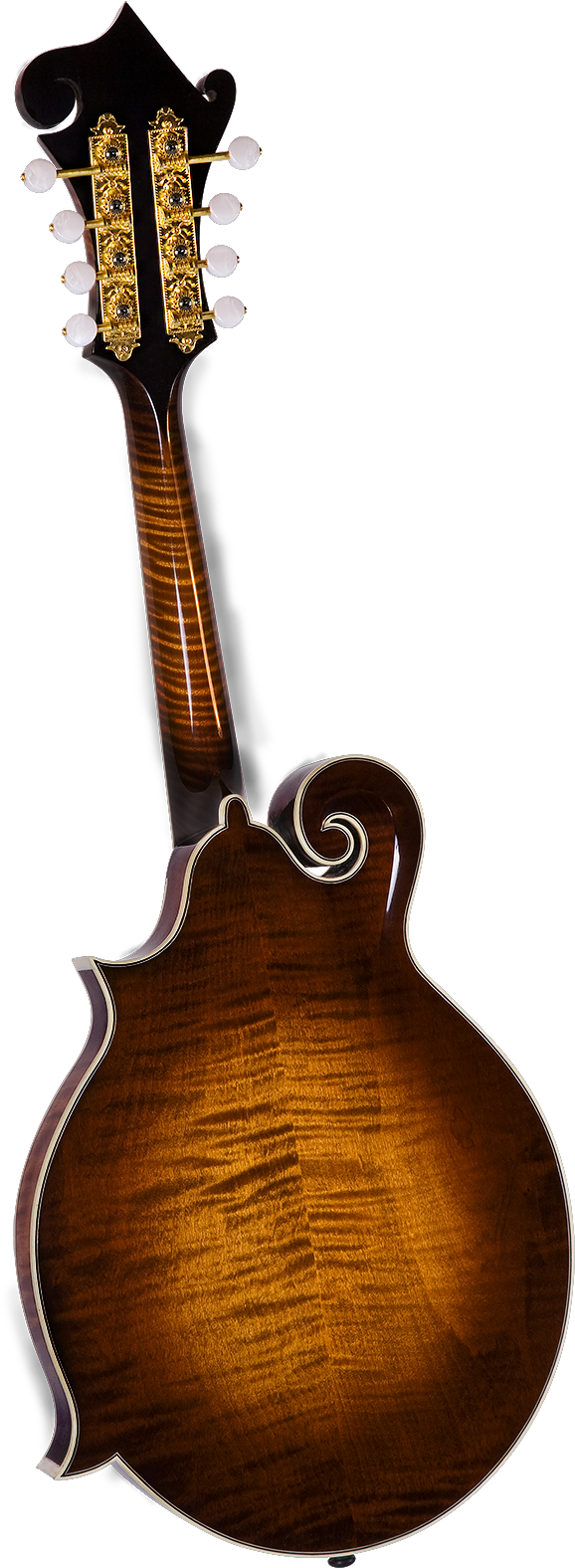 Kentucky Km 1500 Master F Model Mandolin - Mandolin (1008x1600), Png Download