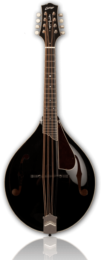 Collings Mt2 Mandola - Collings Guitars (375x870), Png Download