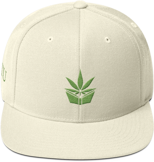 The Higher Education Snapback Cannabis Training University - Baseball Cap (510x600), Png Download