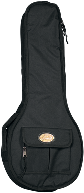 Mandolin Bag A And F Model - Gig Bag (350x390), Png Download