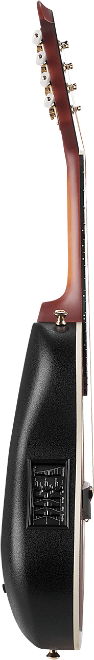 Mandolins - Electric Guitar (1000x1384), Png Download