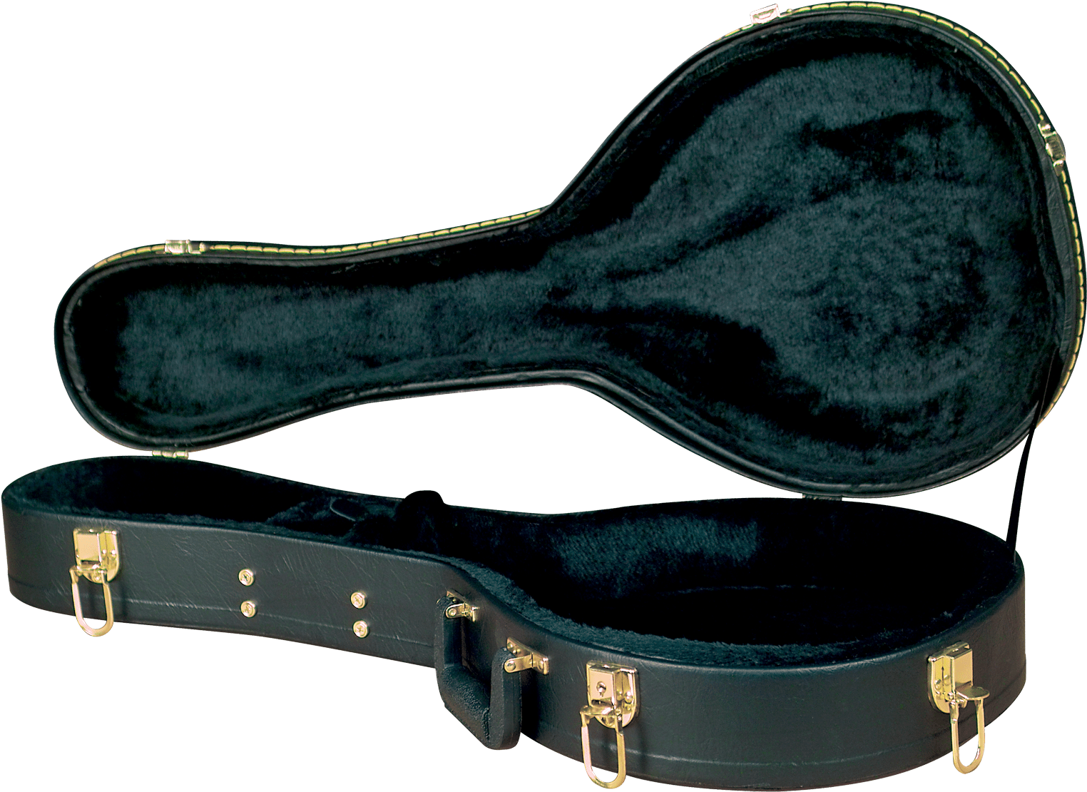 Golden Gate C-1521 A Mandolin Case - Golden Gate Mandolin Case (1600x1186), Png Download