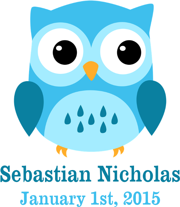 Navy Clipart Blue Owl - Blue Night Owl Full/queen Duvet Cover (700x700), Png Download