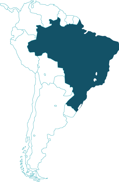 Map Brasil - Brazil Map (407x620), Png Download