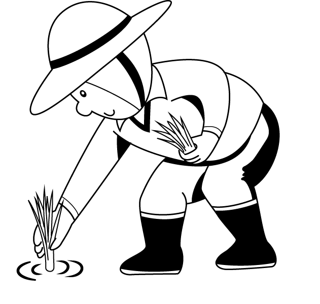 Rice Plant Colouring Pages - Planting Rice Clipart Black And White (631x600), Png Download