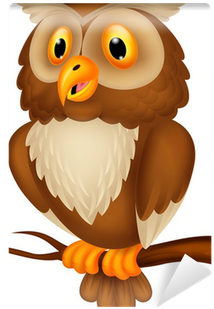 Owl Cartoon (400x400), Png Download