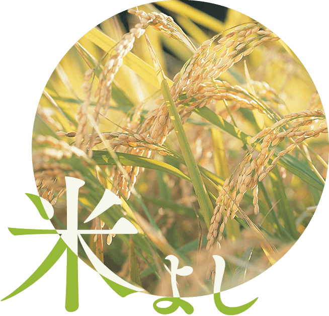 Mochikichi Specially Selects Only The Finest Domestically - Crop (654x628), Png Download