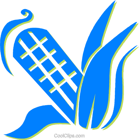 Corn On The Cob Royalty Free Vector Clip Art Illustration - Illustration (476x480), Png Download