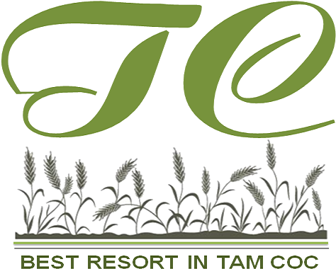 Tam Coc Rice Fields Resort (505x400), Png Download
