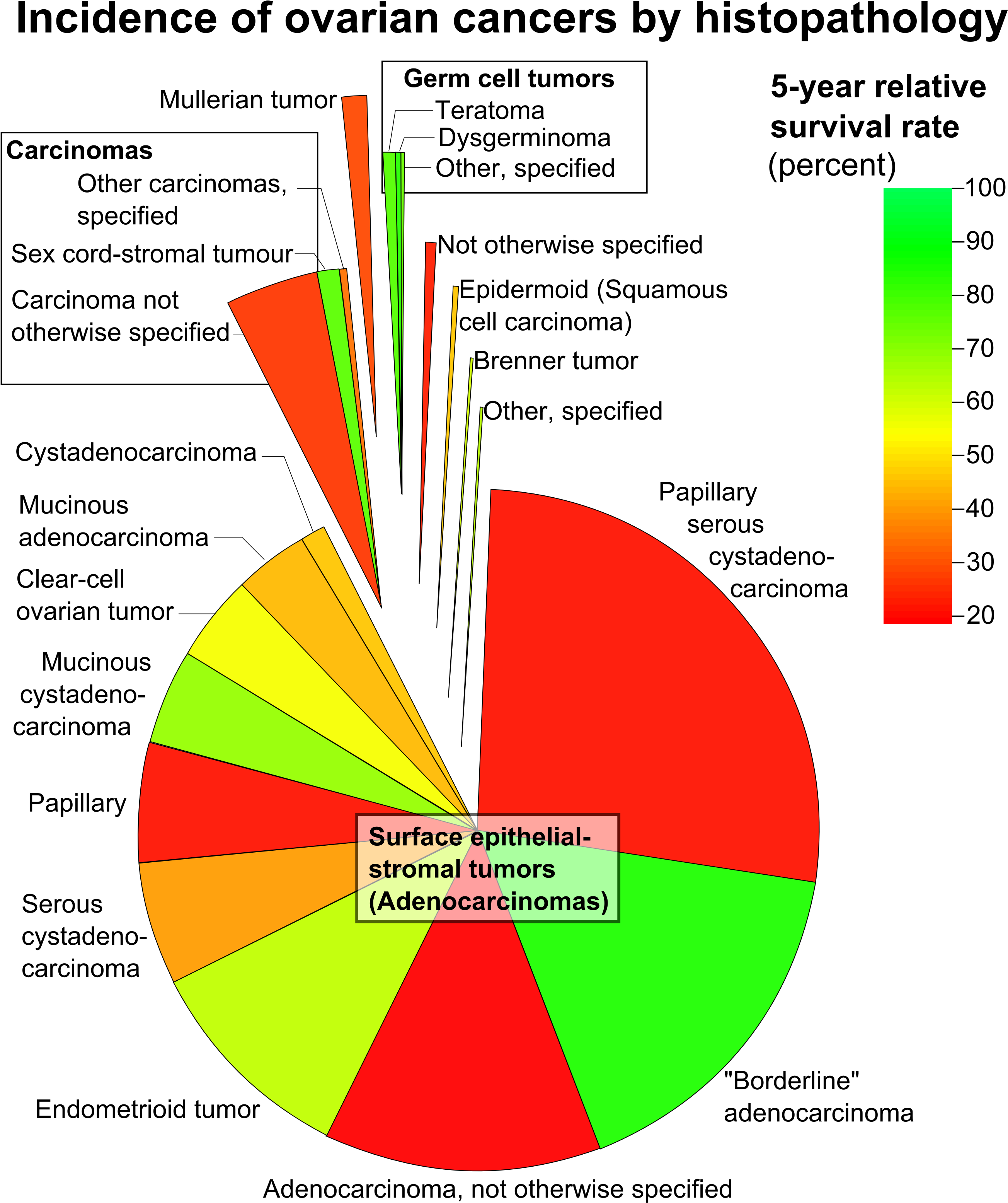 Photos Of Ovarian Cancer Survival Rate - Incidence Of Ovarian Cancers By Histopathology (2674x3155), Png Download