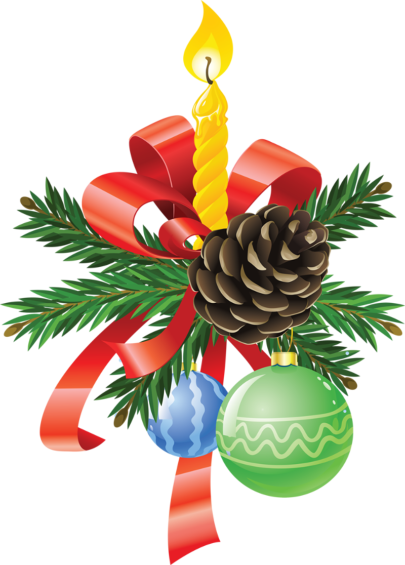 Christmas Lights, Christmas Trees, Christmas Flowers, - Vector Graphics (800x1116), Png Download