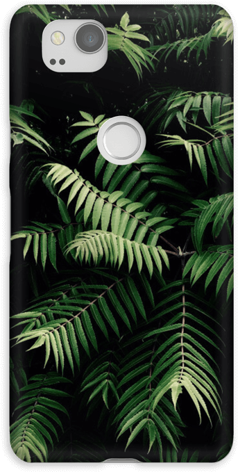 Tropics Case Pixel - Apple Iphone Xs (484x800), Png Download