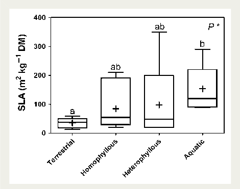 Specific Leaf Area In Terrestrial Wetland Plants, In - Diagram (470x371), Png Download