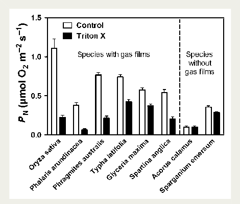 Underwater Net Photosynthesis In Terrestrial Wetland - Diagram (470x401), Png Download