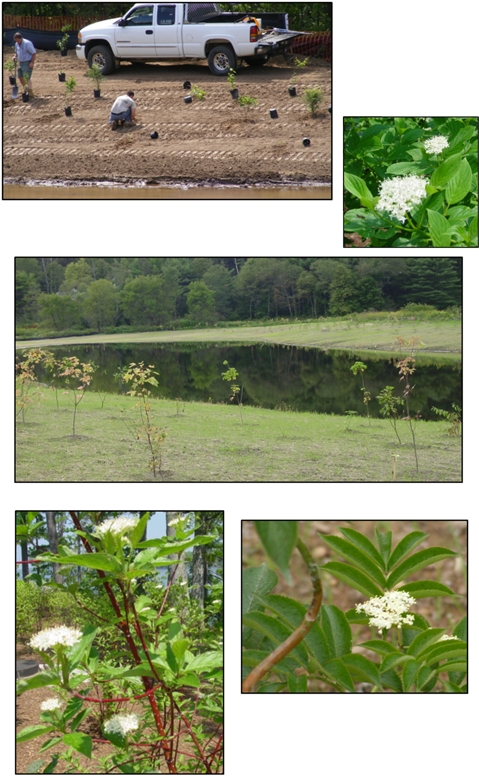 Please Call Our Office At 776-5825 To Speak To A Specialist - Yard (1000x1600), Png Download