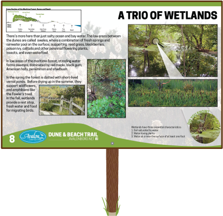 A Trio Of Wetlands Sign - Wetland (452x431), Png Download