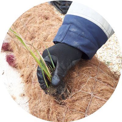 Natural Conditions From Our Own Nurseries We Supply - Natural Environment (400x400), Png Download