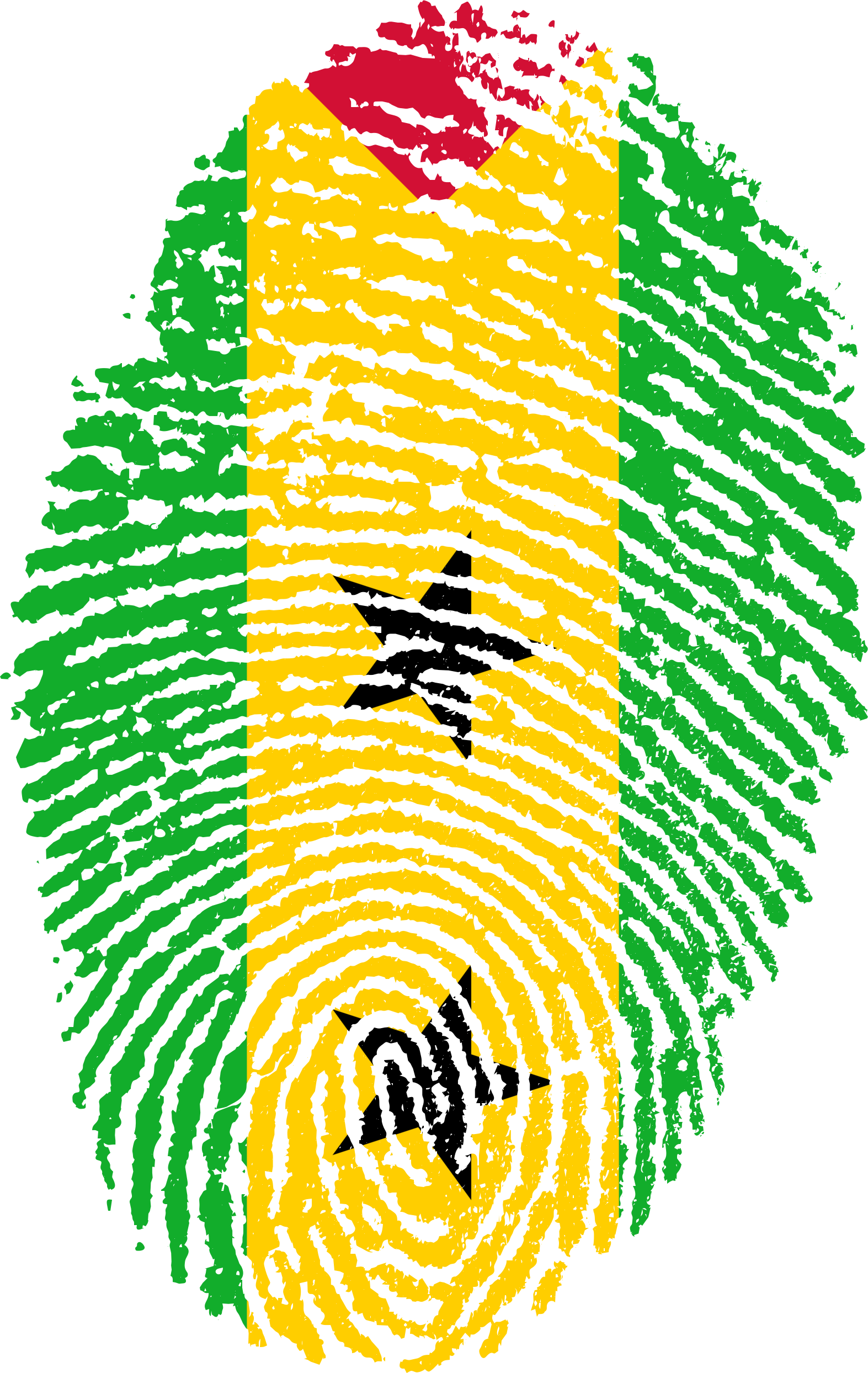 Sao Tome Principe Flag Fingerprint 662417 - Flag Fingerprints Countries Png (1573x2488), Png Download