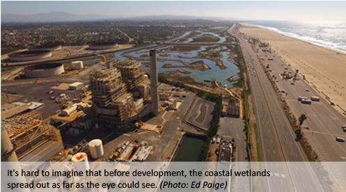 The Huntington Beach Wetlands Was Part Of A System - Aerial Photography (990x275), Png Download