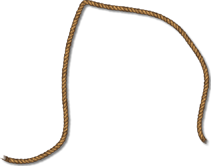 2018 Western Bowl - Burmese Python (686x539), Png Download