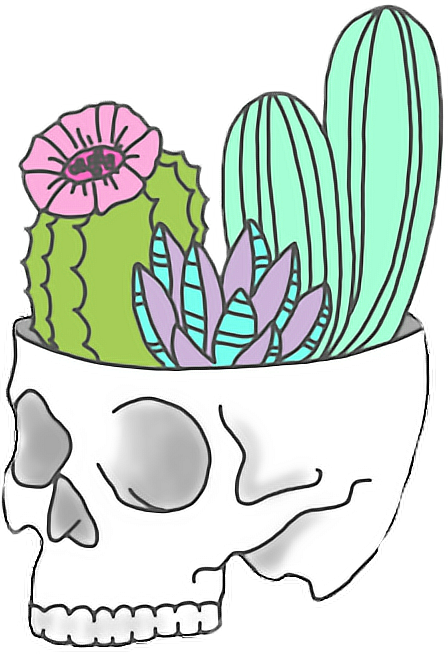 Report Abuse - Stickers Tumblr Png Cactus (448x654), Png Download
