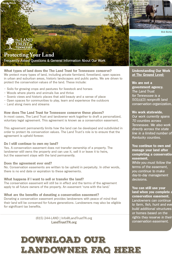 Website Faq Button - Tree (1667x1250), Png Download