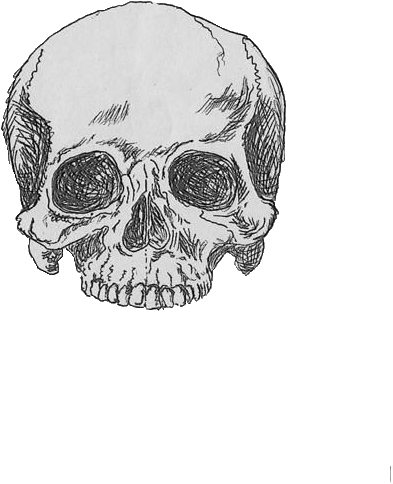 Grunge - Skull Quotes (500x495), Png Download