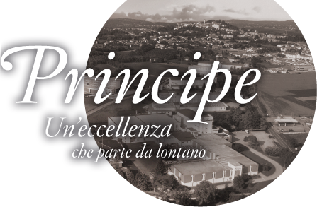 Principe Has Its Headquarters In Trieste, Where It - Skateboard Deck (447x293), Png Download