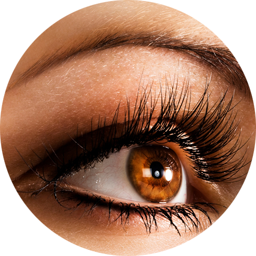 Eye Enhancement - Eyelash Extensions (500x500), Png Download