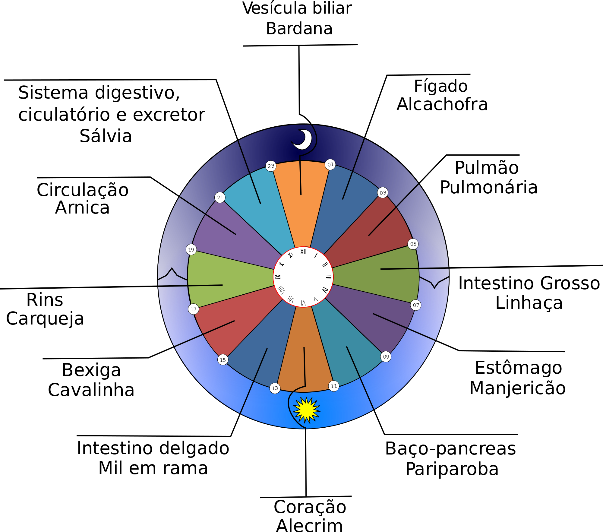 Open - Statistik Mitarbeiter Der Stasi (2000x1764), Png Download