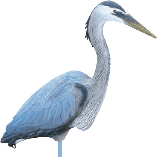 Flambeau Great Blue Heron Confidence Decoy - Flambeau Heron Decoy (550x550), Png Download