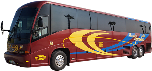 Real Ejecutivo - Autobuses Real Ejecutivo Tijuana (551x299), Png Download