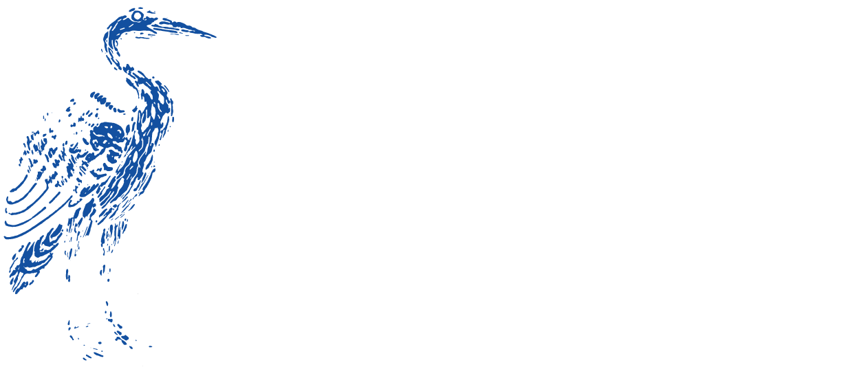 Great Blue Heron (1224x534), Png Download