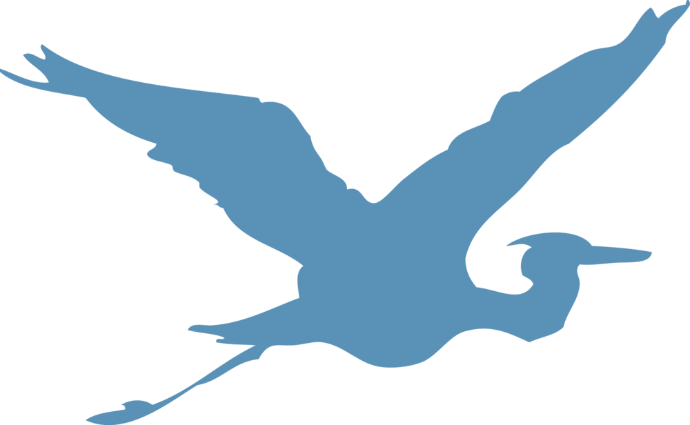 Blue Heron - Great River School (1000x616), Png Download
