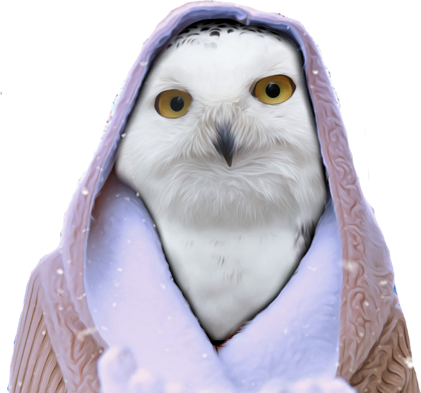 Freetoedit Owl Hoodie Snow Winter White Png Nobackgroun - Barn Owl (1024x1024), Png Download