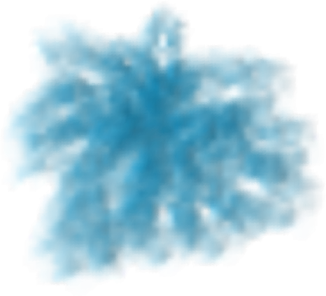 In The Spirit Of Inclusion, Celebrating The Beauty - Tree (466x424), Png Download