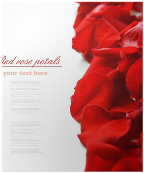 Garden Roses (400x400), Png Download