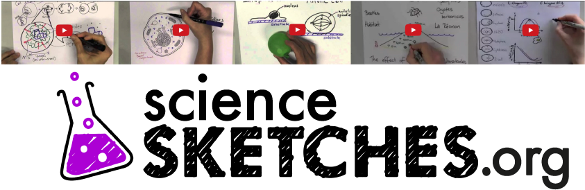 Science Sketches Banner - Graphic Design (842x288), Png Download