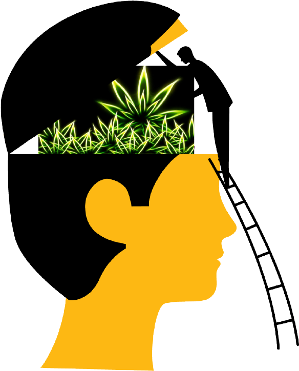 By Todd Shepherd - Thinking Students Cartoon Png (650x800), Png Download