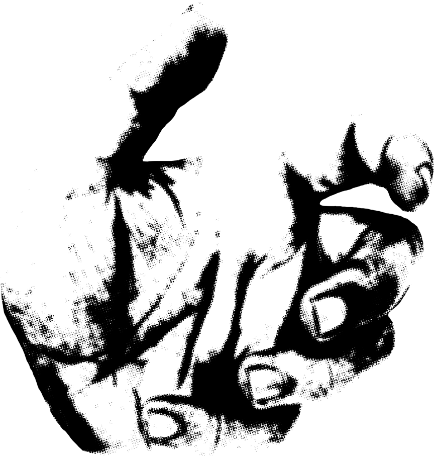 Mao - Osprey (1000x992), Png Download