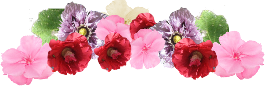 Floral Separator - - Artificial Flower (888x281), Png Download