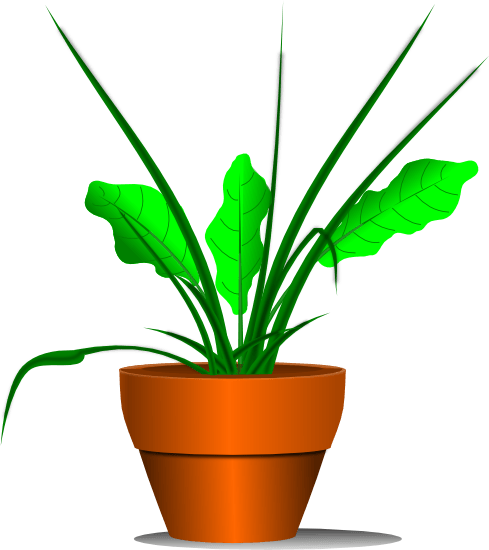 Cartoon Plant Growing In Plant Pot - Plant Clip Art Transparent Background (489x550), Png Download