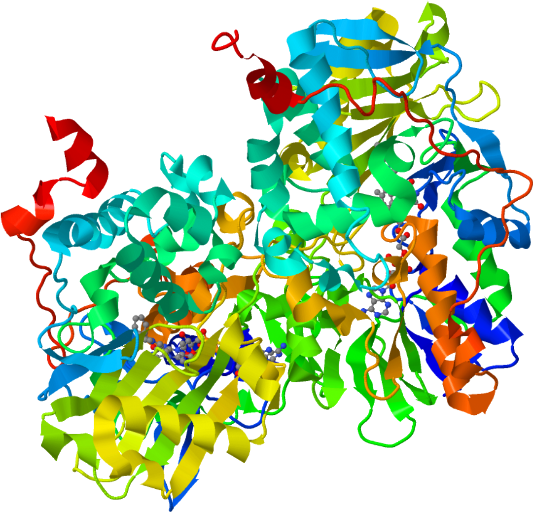 Monoamine Oxidase Inhibitor - Monoamine Oxidase (1098x1048), Png Download
