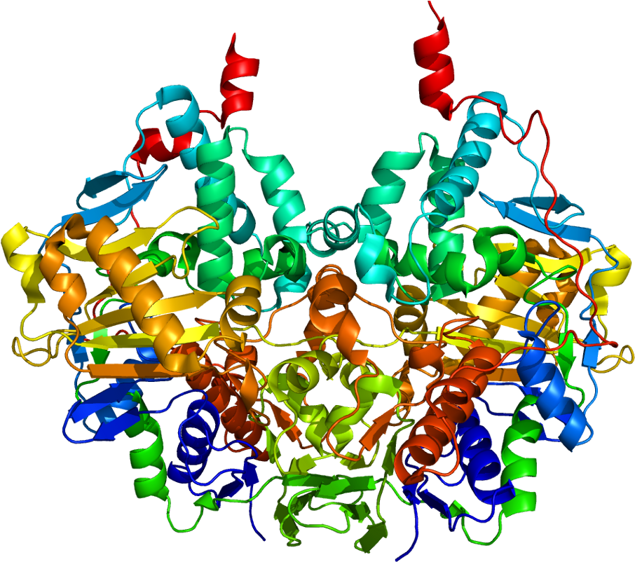 Monoamine Oxidase B Structure (955x851), Png Download