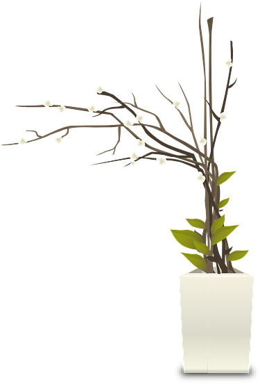 Plant Growing In Pot - Flower Pot Interior Png (464x640), Png Download