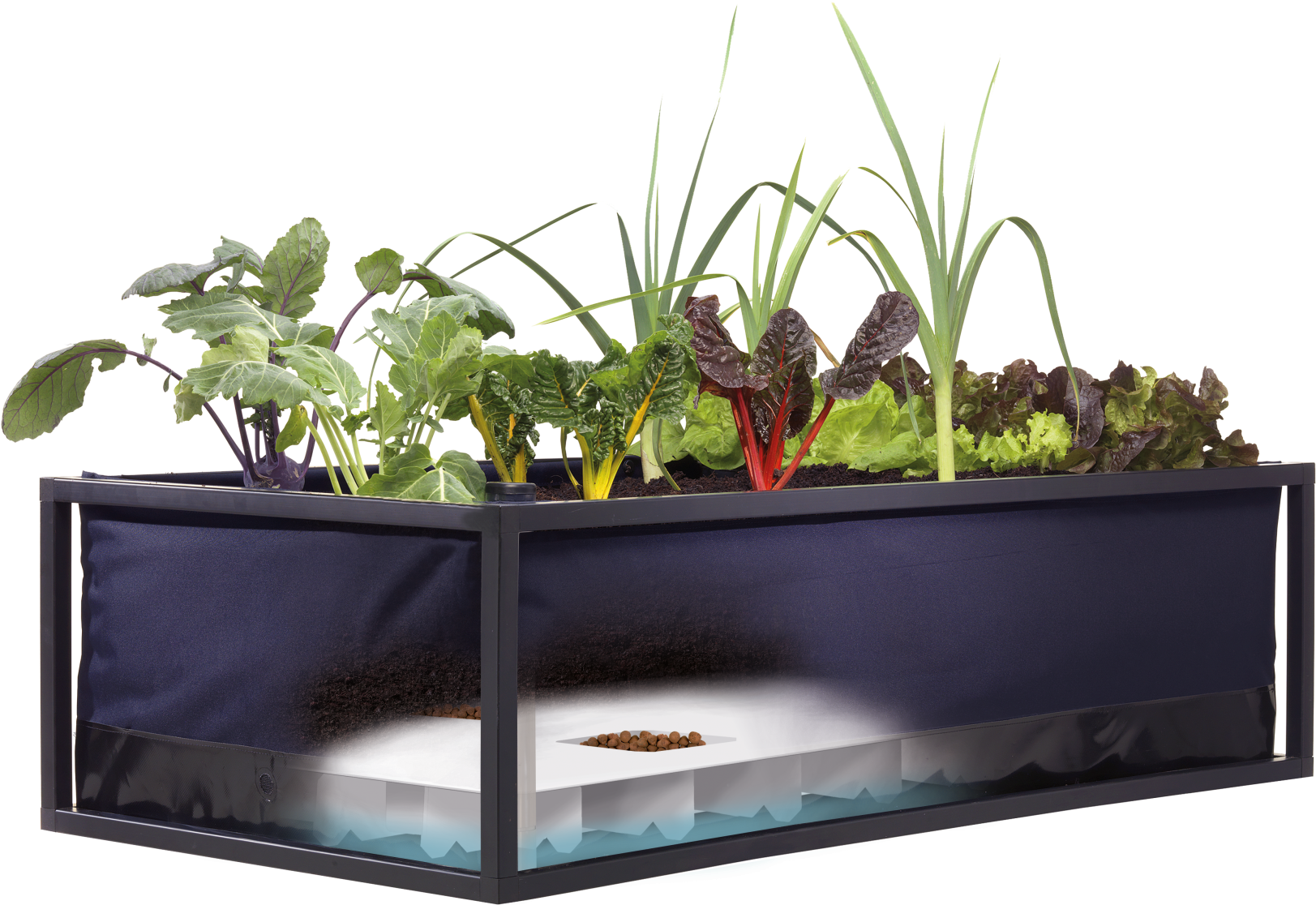 Specially - Fish Tank Growing Vegetable Png (2000x1414), Png Download