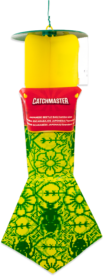 Japanese Beetle Trap / Japanese Beetle Trap Refill - Beetle (1000x1000), Png Download