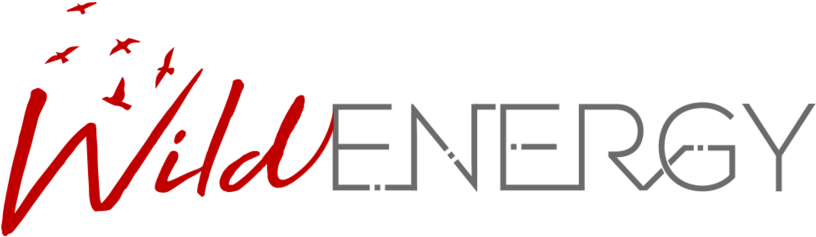 Red 1 - Ecology (1000x313), Png Download