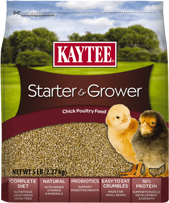 Kaytee Chicken Starter Grower Crumble - Chick Food (750x750), Png Download