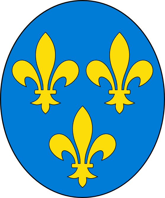 La Flor De Lis Es La Representanción Heráldica, O Sea, (558x669), Png Download